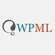 logosquare-wpml-mini
